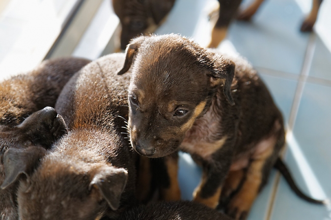 Famille et amis-MAI17-011